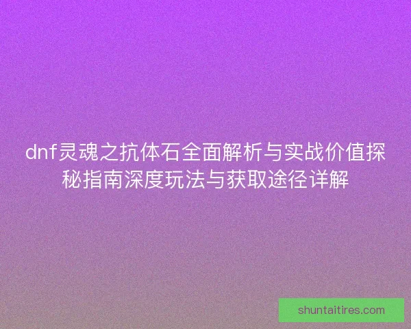 dnf灵魂之抗体石全面解析与实战价值探秘指南深度玩法与获取途径详解
